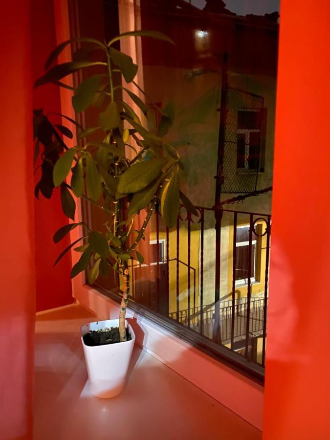31 Котлярська Apartment Лвив Екстериор снимка